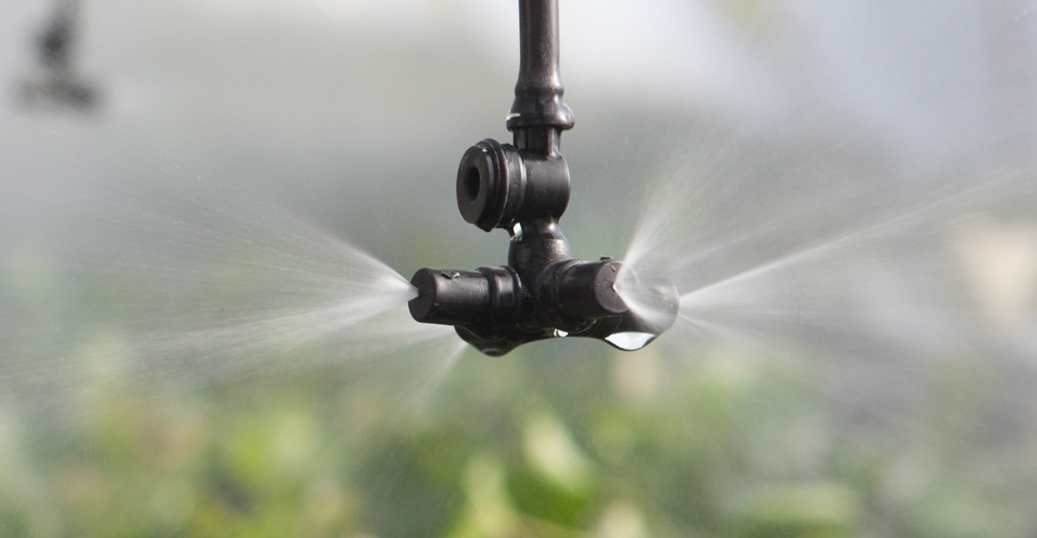 Fogger System